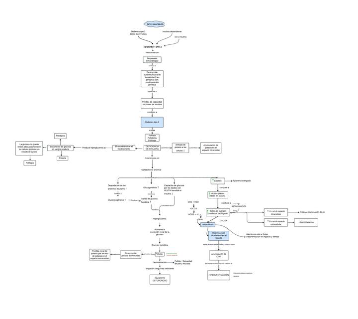 Mapa de la bioquímica de la cetoacidosis diabética