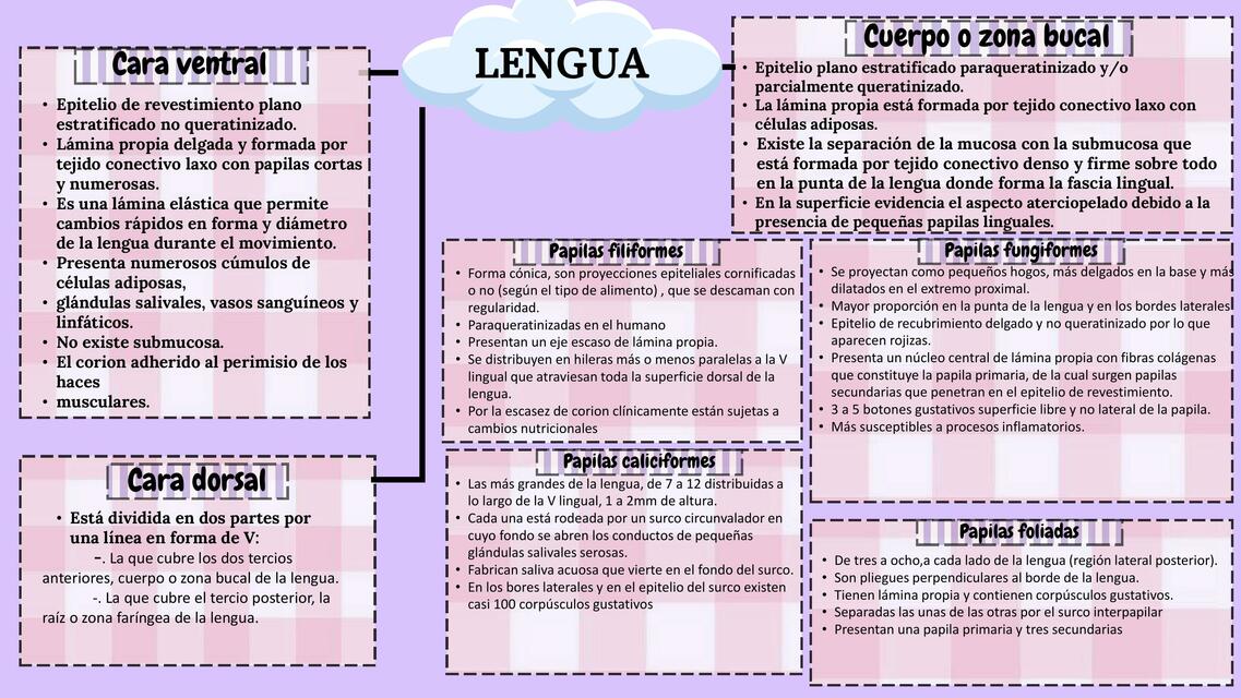 Lengua