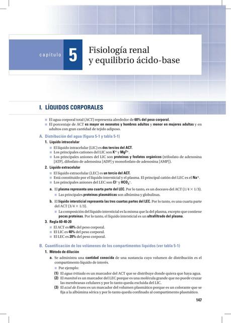 Fisiología Renal Y Equilibrio ácido Base Full Ciencia Udocz