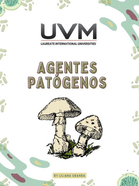 Agentes Patógenos Hongos