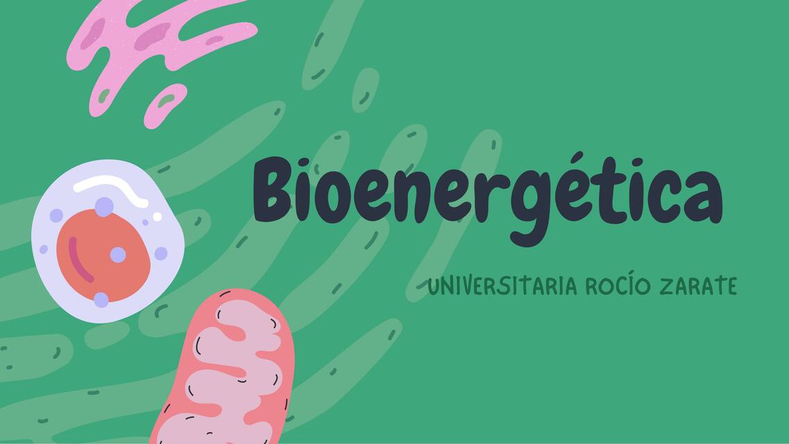 Bioenergetica según guía de la prof