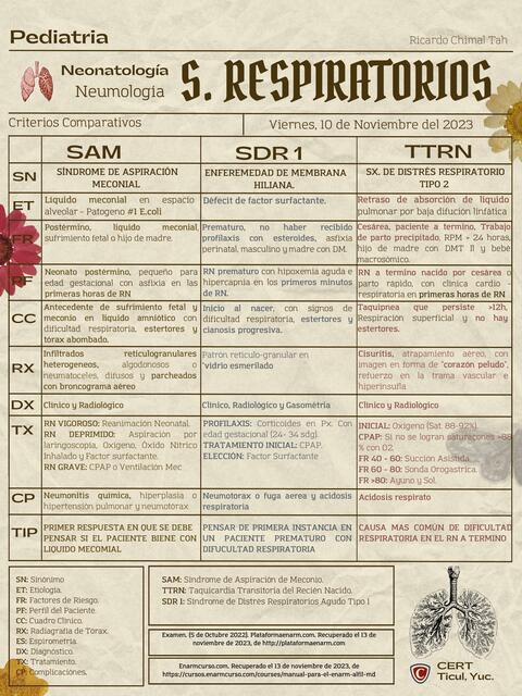 FLASHCARD PATOLOGÍA RESPIRATORIA