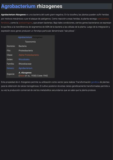 Bacterias Agrobacterium rhizogenes