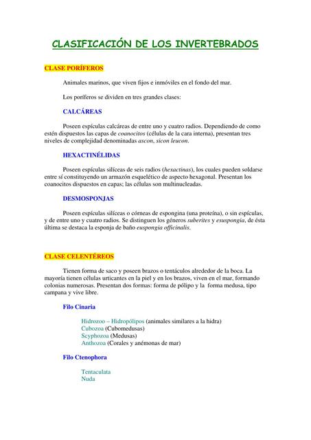 08 Clasificación de los invertebrados Artículo aut