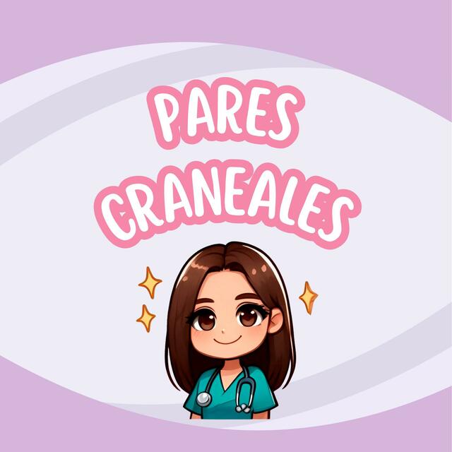 Pares Cranéales