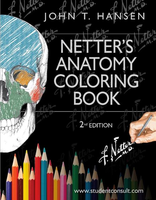 Hansen John Netters Anatomy Coloring Book 2nd edit