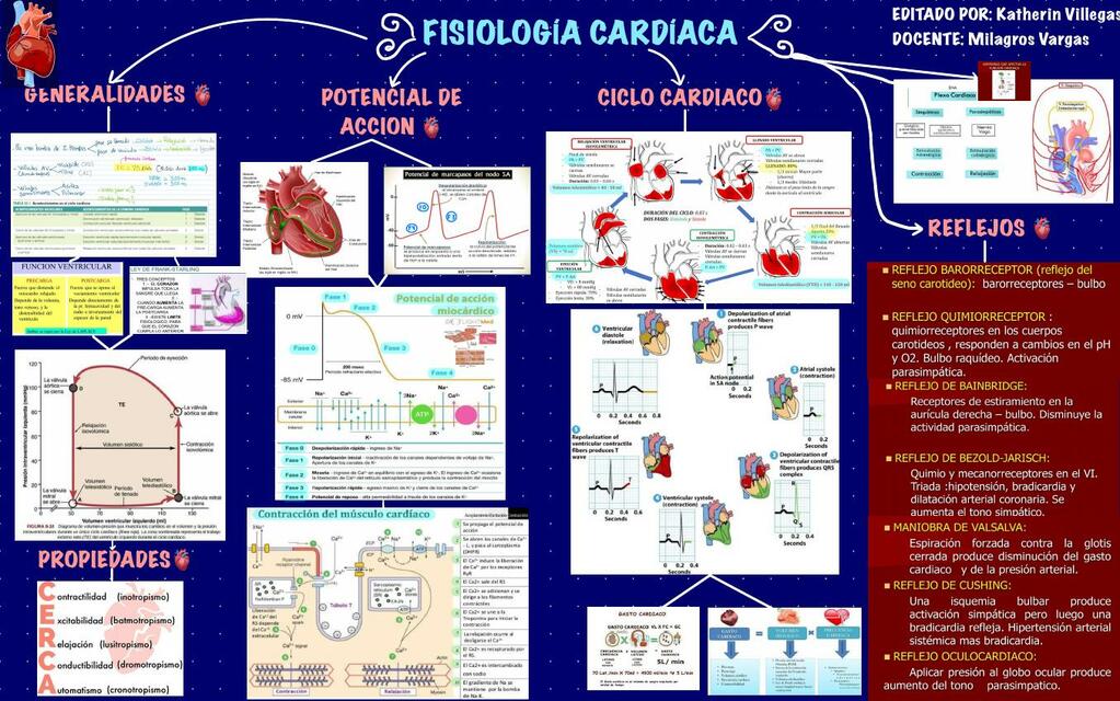 Fisio corazón