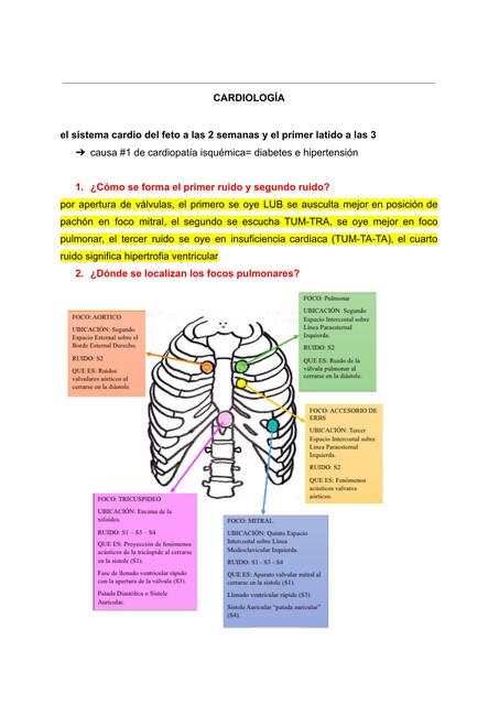 Apuntes cardio