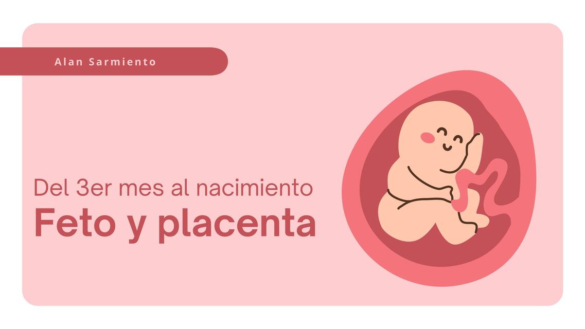 EMBRIOLOGÍA Del 3er mes al nacimiento FETO Y PLACENTA