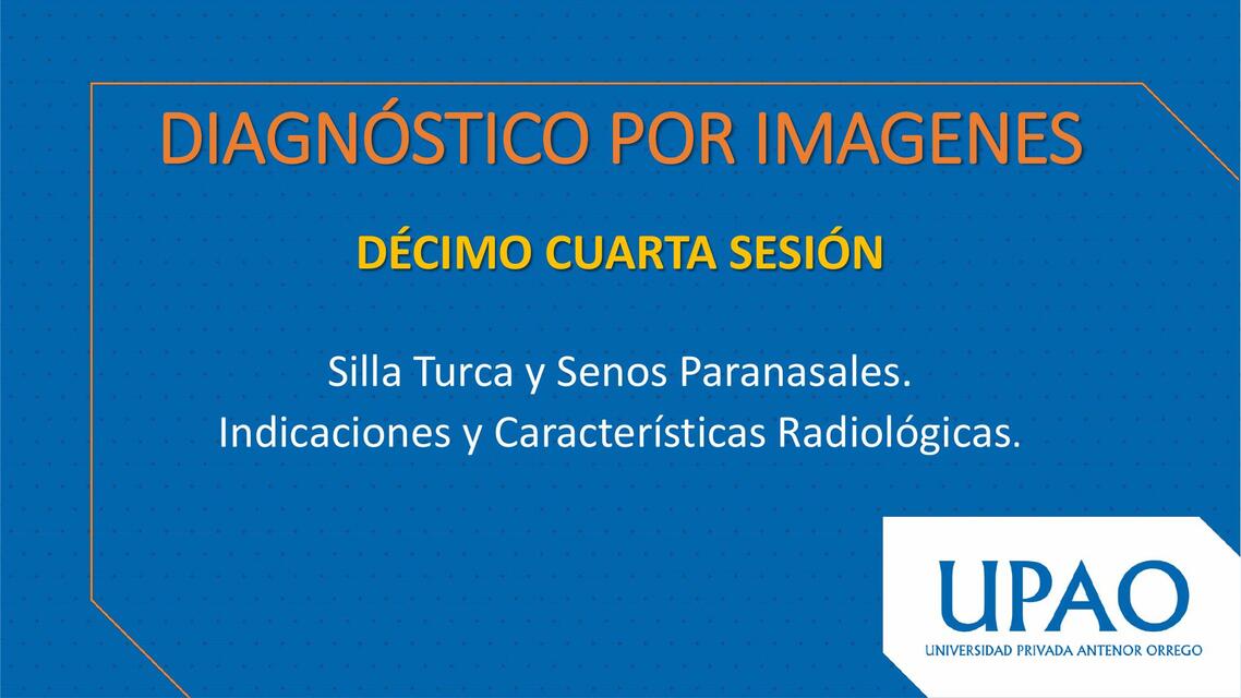 T14 RADIO SENOS PARANASALES Y SILLA TURCA