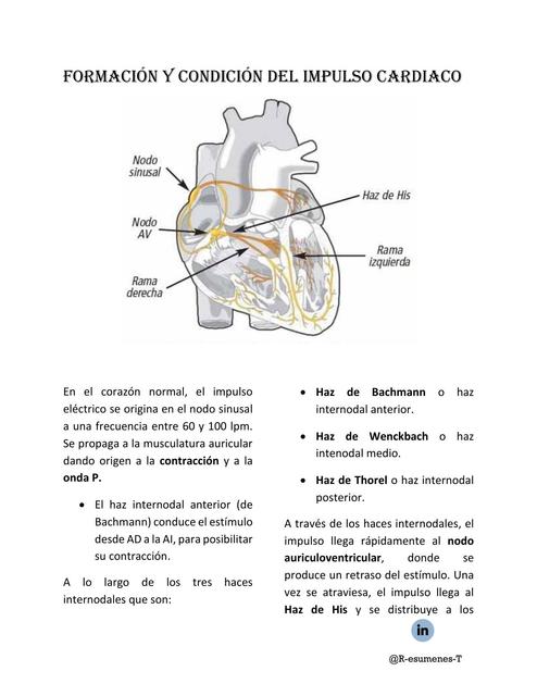 Formación del impulso cardiaco convertido y potencial de acción 