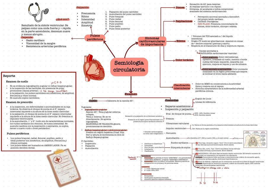 Semiología Circulatoria