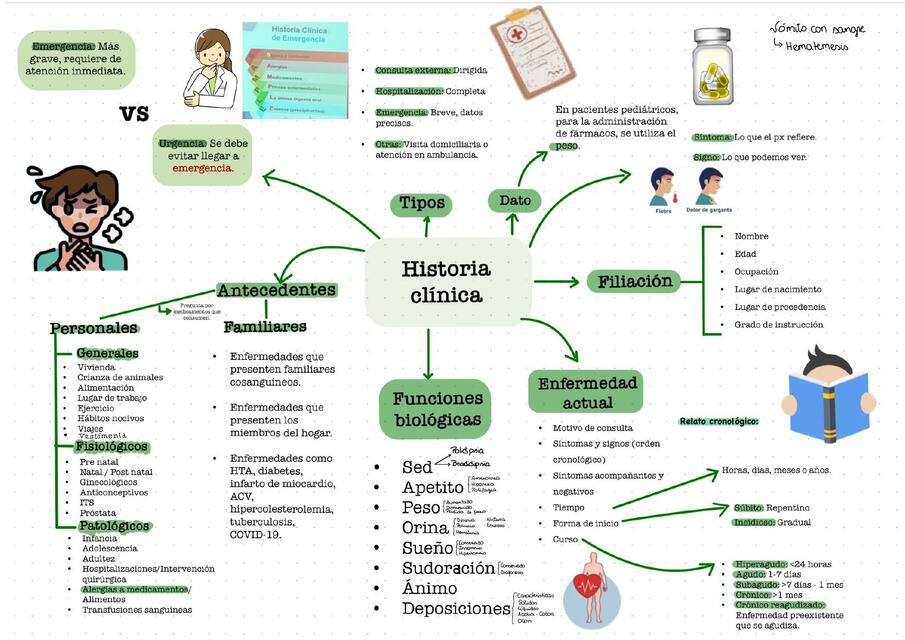 Historia Clínica - Esquema