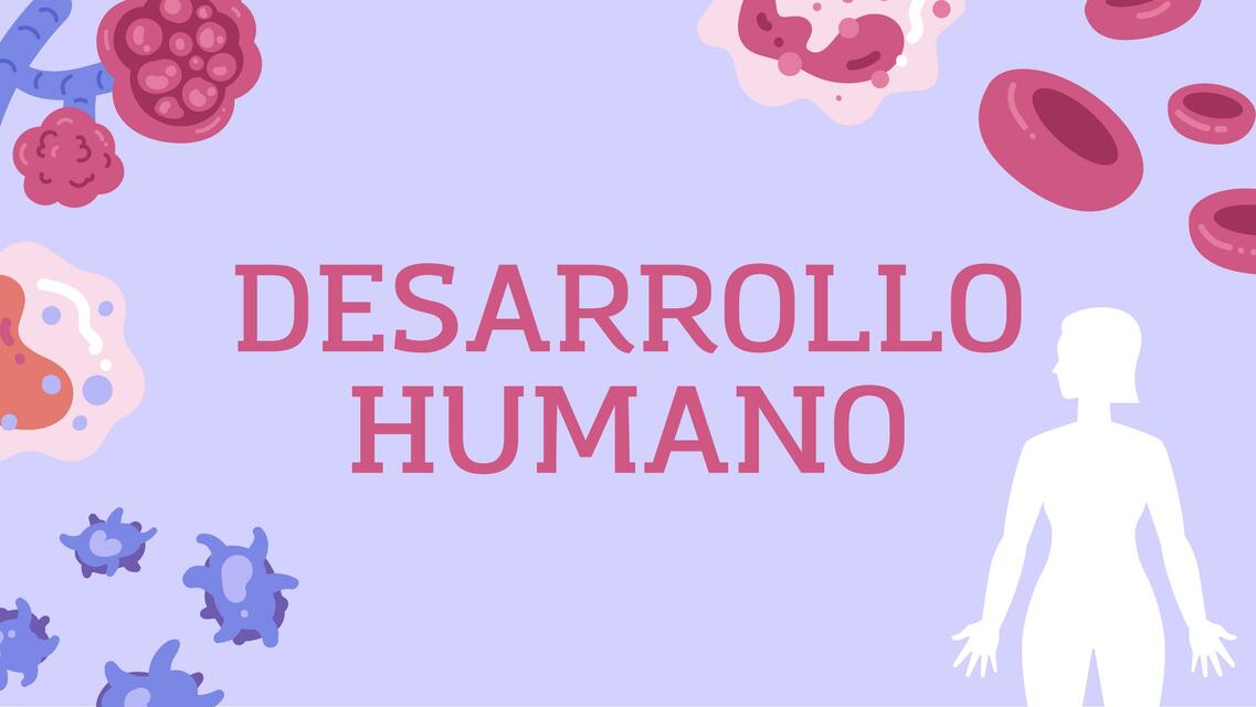 desarrolllo humano 4