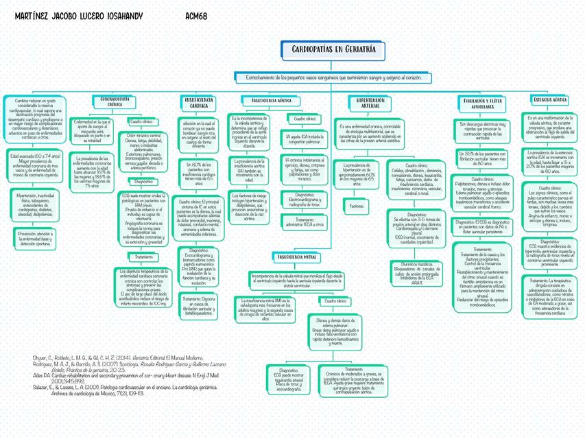Mapa cardiopatía