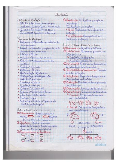 Cuaderno de Biología Pedro Pedroso