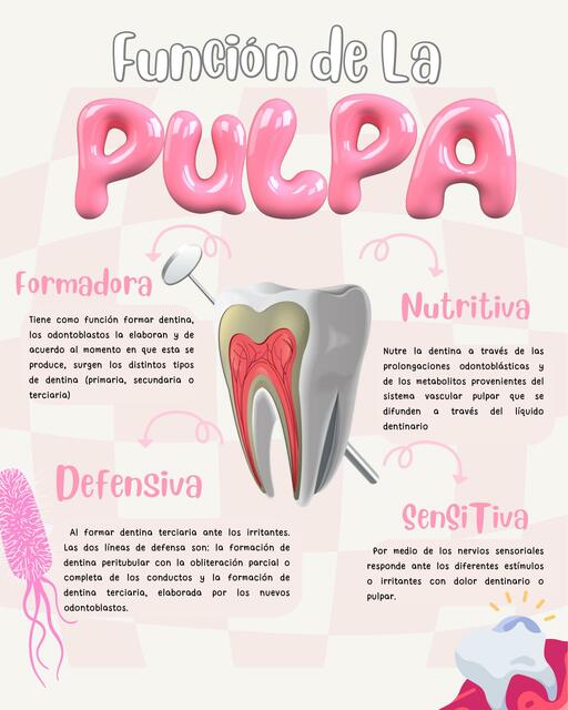 Pulpa dental