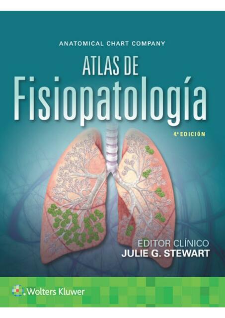 Atlas de fisiopatología 4e Julie Stewart Z Library