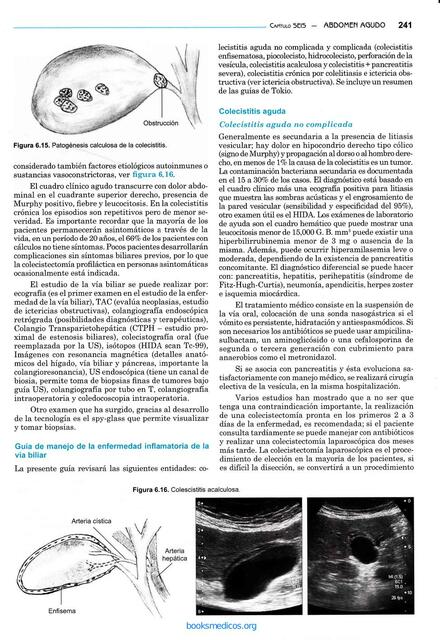 ANDOMEN AGUDO PDF9