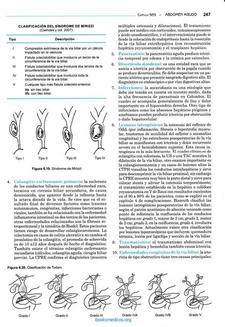 ANDOMEN AGUDO PDF15