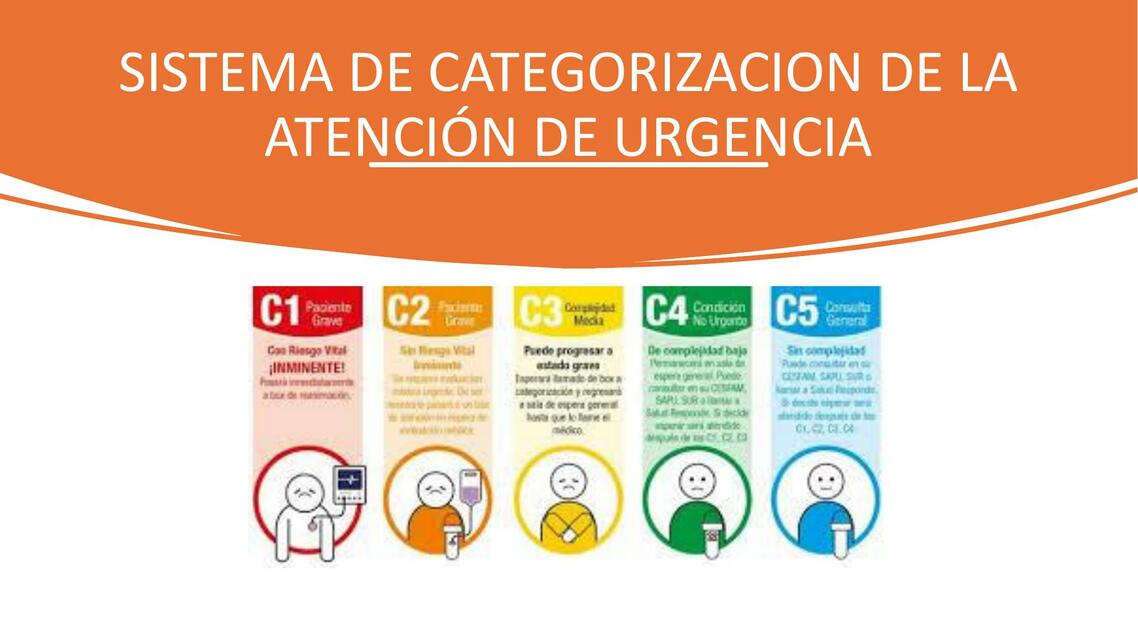 SISTEMA DE CATEGORIZACION DE LA