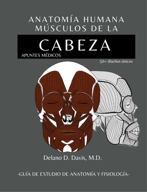 MÚSCULOS DE LA CABEZA ANATOMÍA