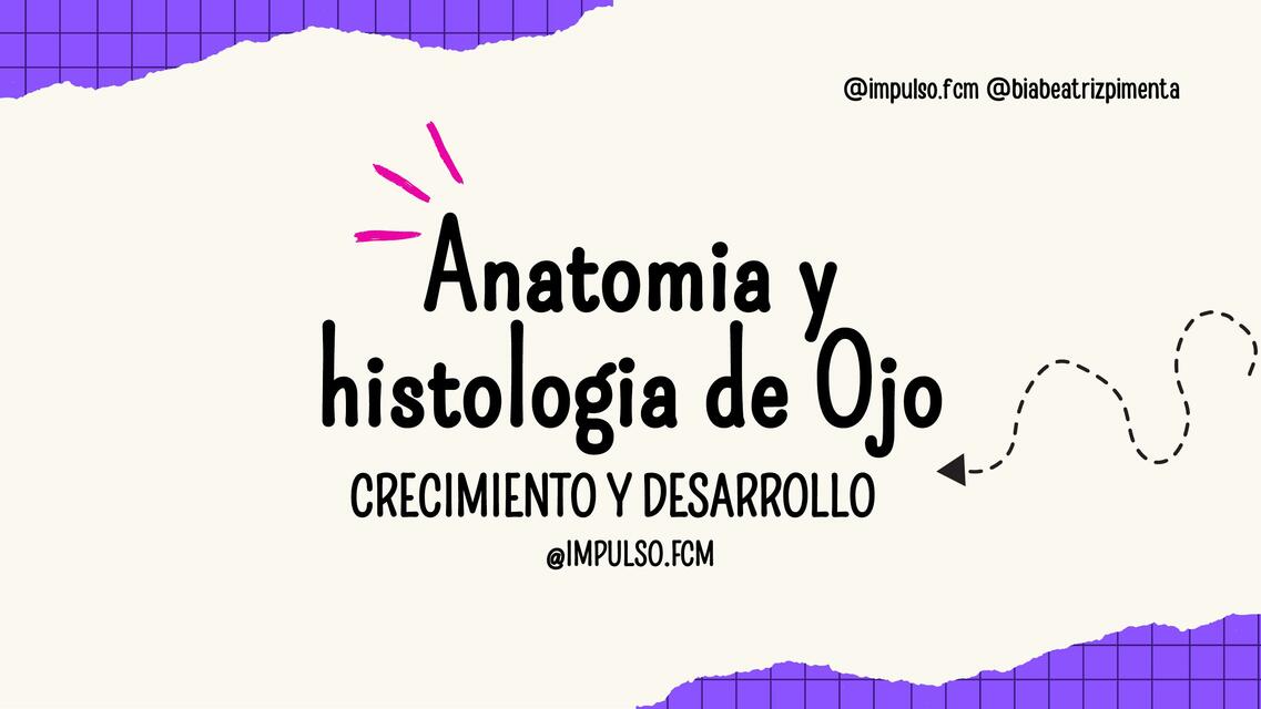 CYD ANATO Y HISTO DE OJO impulso bp