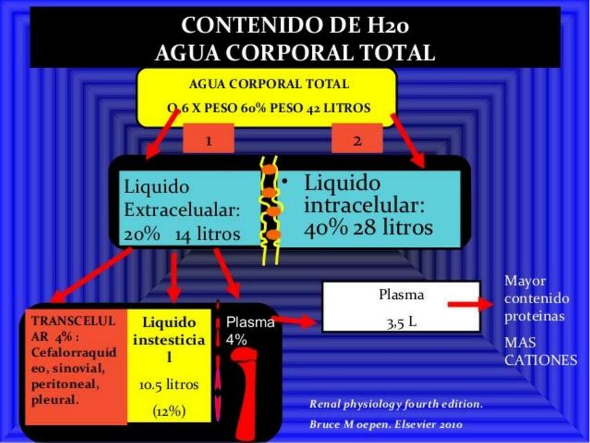 HIPO HIPERNATREMIA