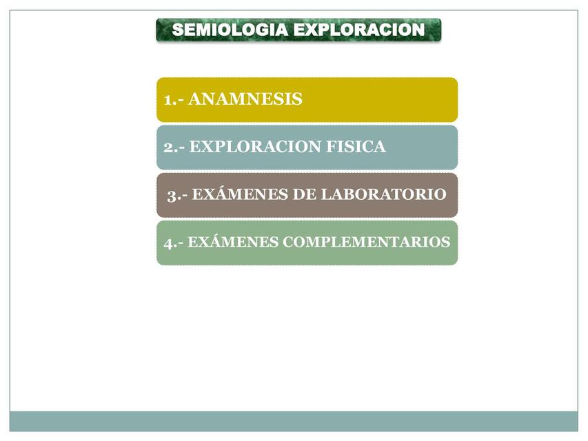 SEMIOLOGIA RENAL