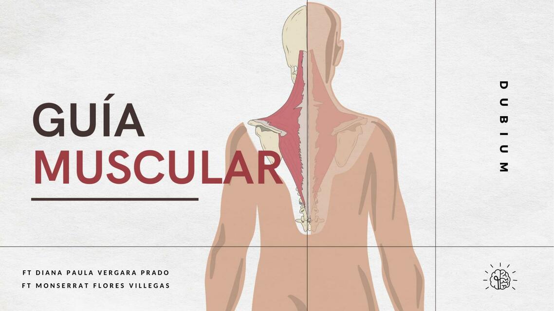 GUIA MUSCULAR P VERGARA