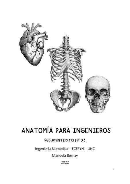 Apunte de Anatomía