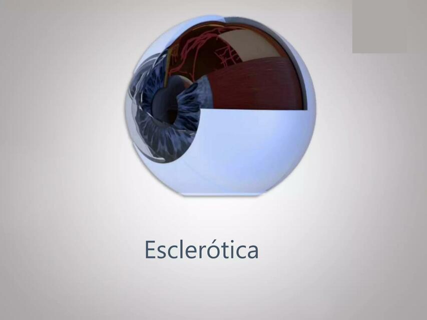 Esclera