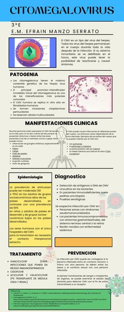 Citomegalovirus