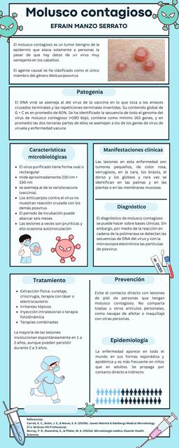 Molusco contagioso infografía