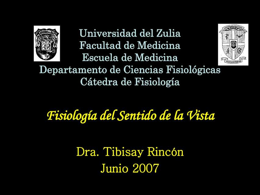 Fisiología De La Visión Lu Udocz