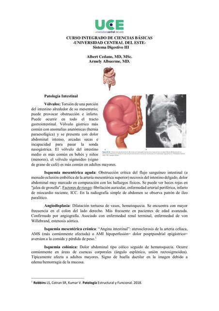 CICB Sistema Digestivo III 1