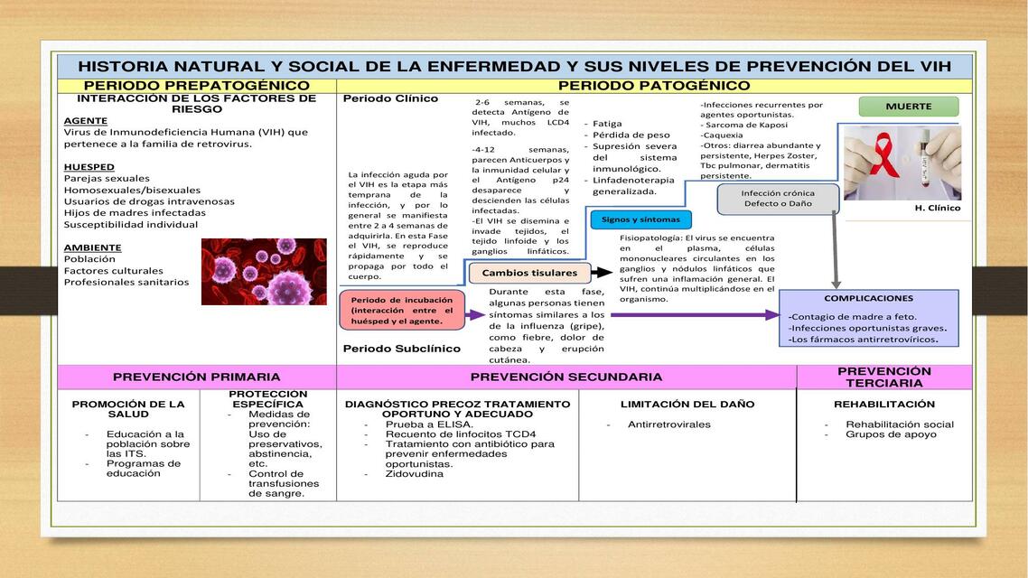 HISTORIA NATURAL GRUPO