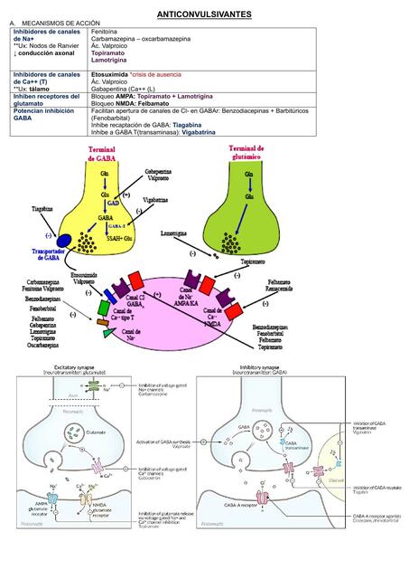 ANTICONVULSIVANTES
