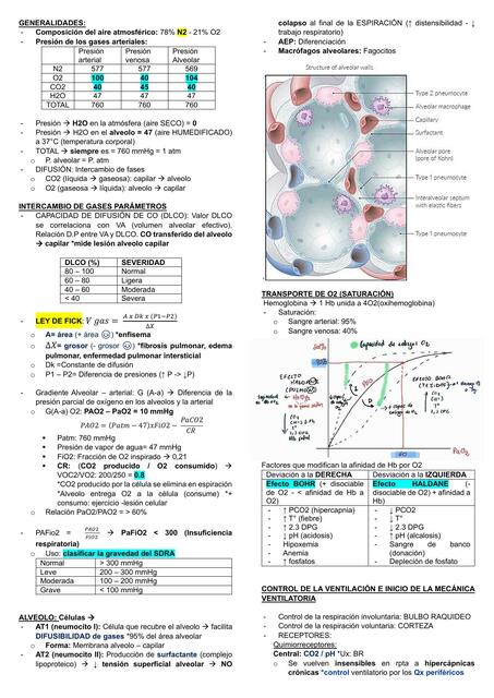 INSUFICIENCIA RESPIRATORIA