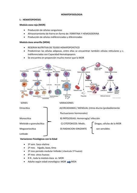 HEMATOFISIOLOGIA