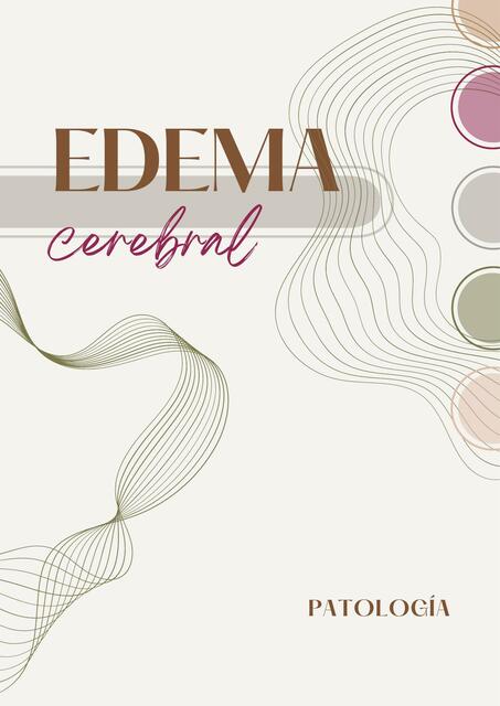 Tipos de Edema cerebral