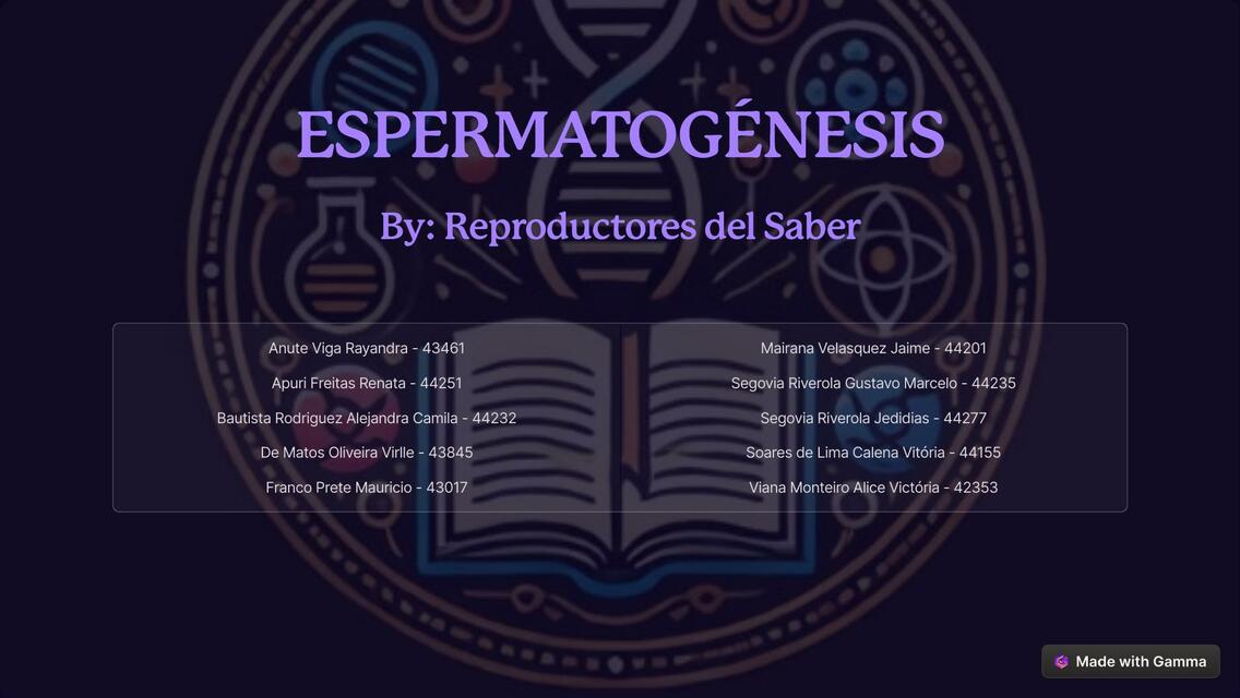 ESPERMATOGENESIS RS 2