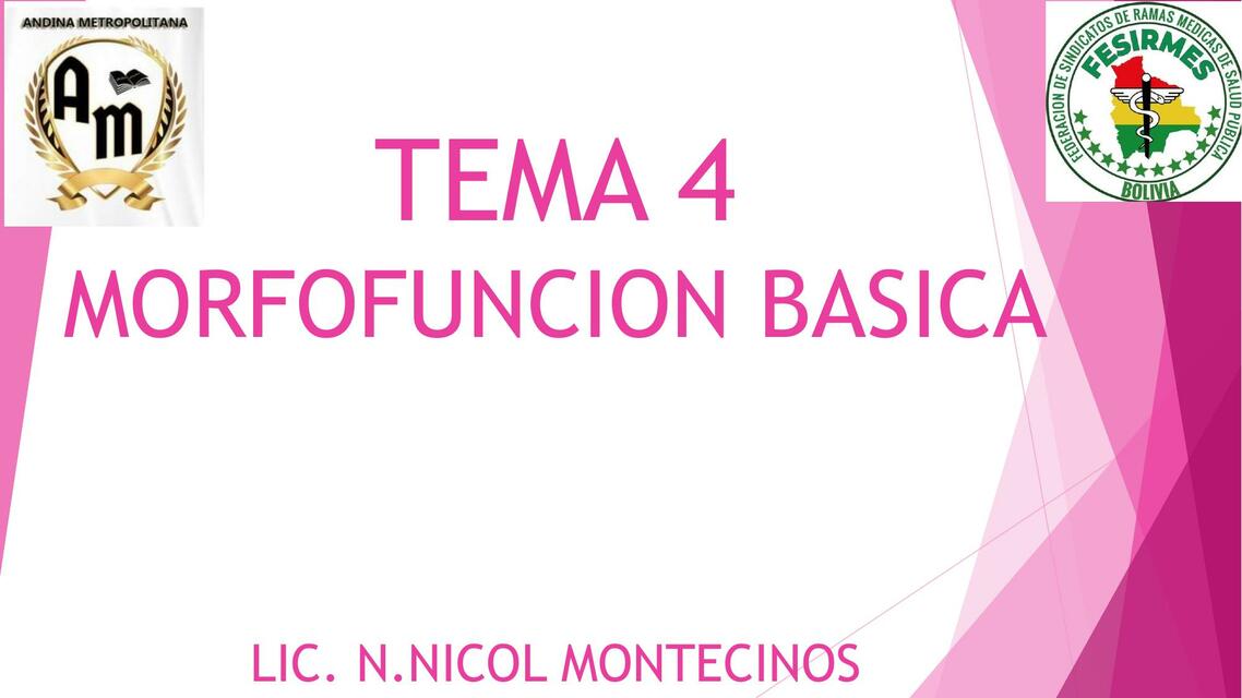 TEMA 4 MORFOFUNCION CORTES