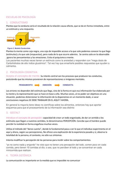 RESUMEN PSICOLOGÍA