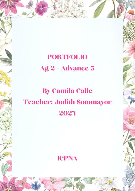 Portfolio ag2 icpna