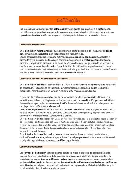 Osificación Agustina uDocz