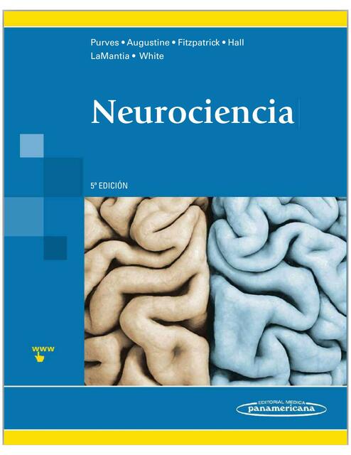 purves neurociencia 5a edicion