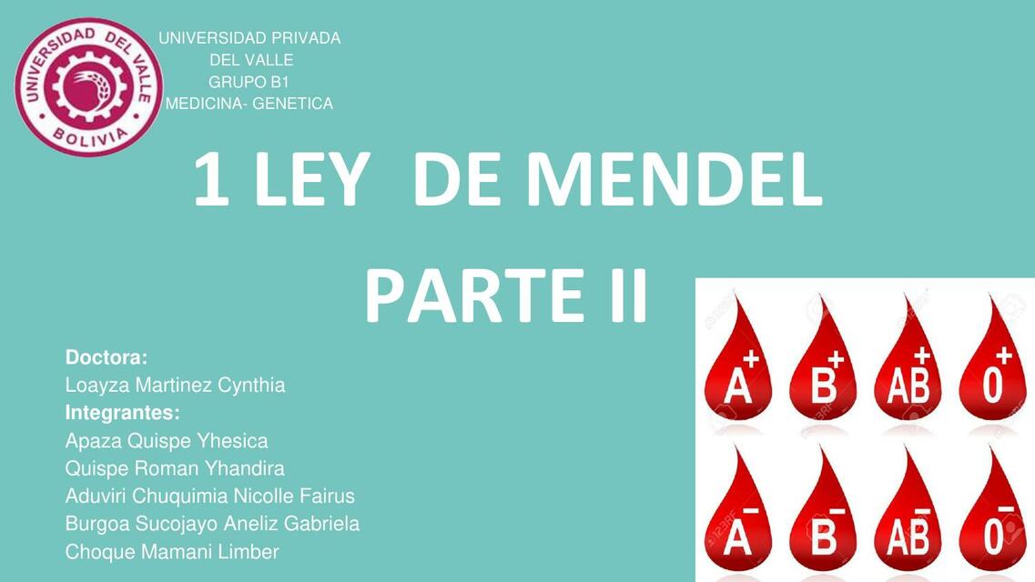 1ra LEY DE MENDEL II