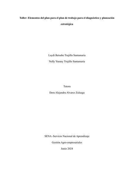 Taller Elementos del plan para el plan de trabajo | Laydi | uDocz