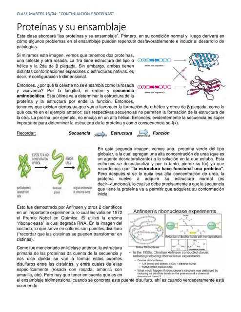 Continuación proteínas